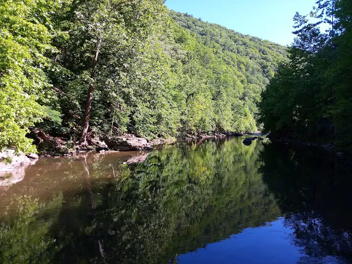 Todd and Angie's River Lot Picture 1