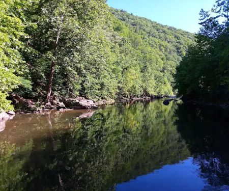 Todd and Angie's River Lot