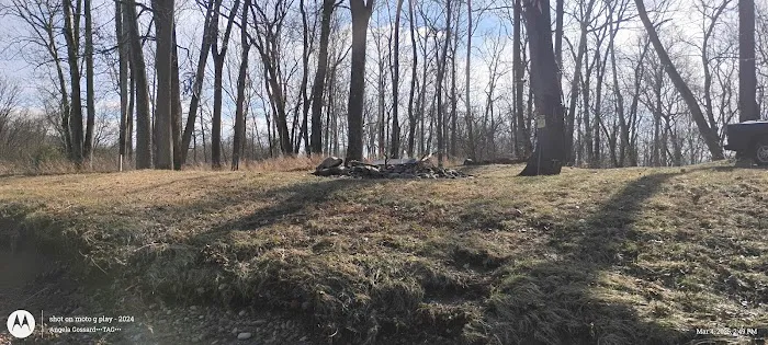 Todd and Angie's River Lot Picture 4