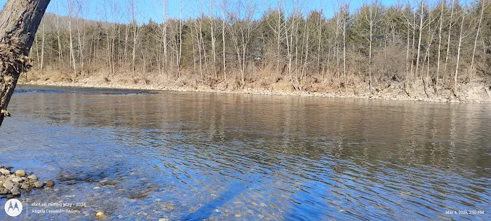 Todd and Angie's River Lot Picture 6