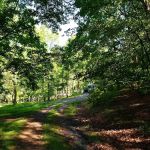 Big Ridge Campground