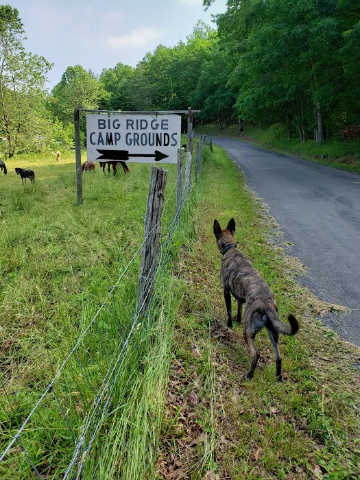 Big Ridge Campground Picture 3