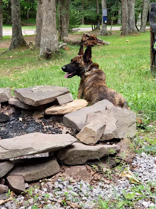 Big Ridge Campground Picture 7