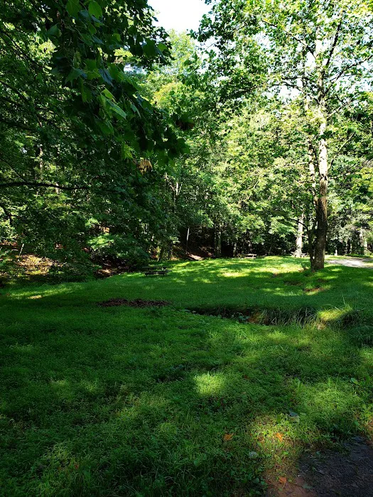 Big Ridge Campground Picture 8