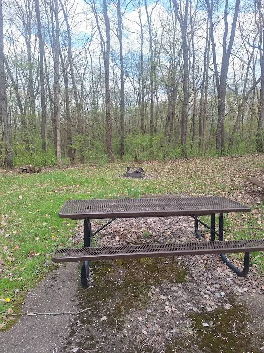 Woodcock Lake Park Campground Picture 5