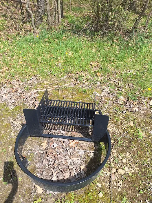 Woodcock Lake Park Campground Picture 4