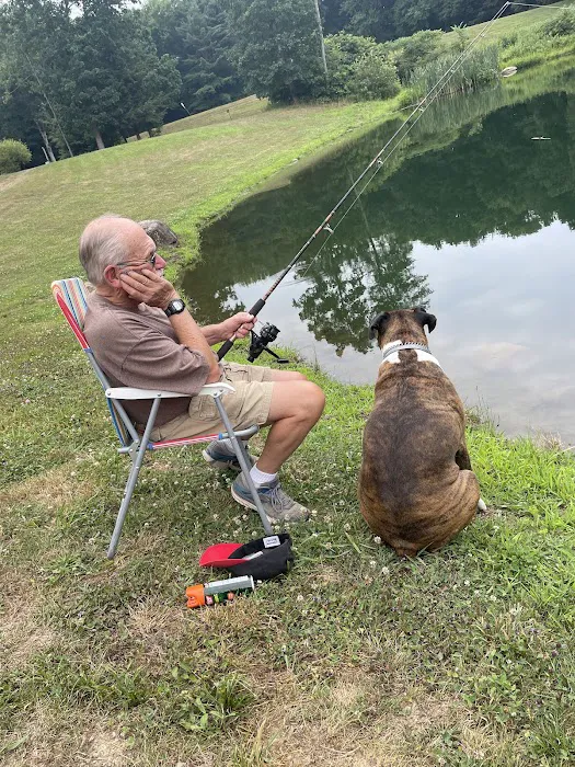 Playland Leisure Park & Family Picture 9