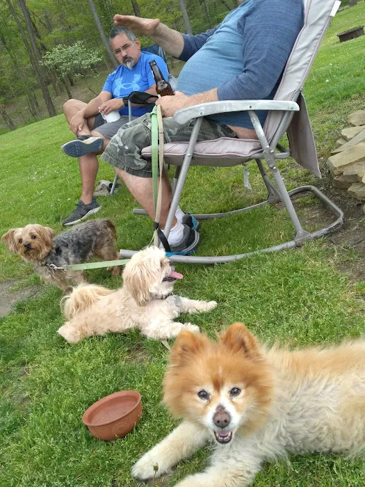 Playland Leisure Park & Family Picture 4