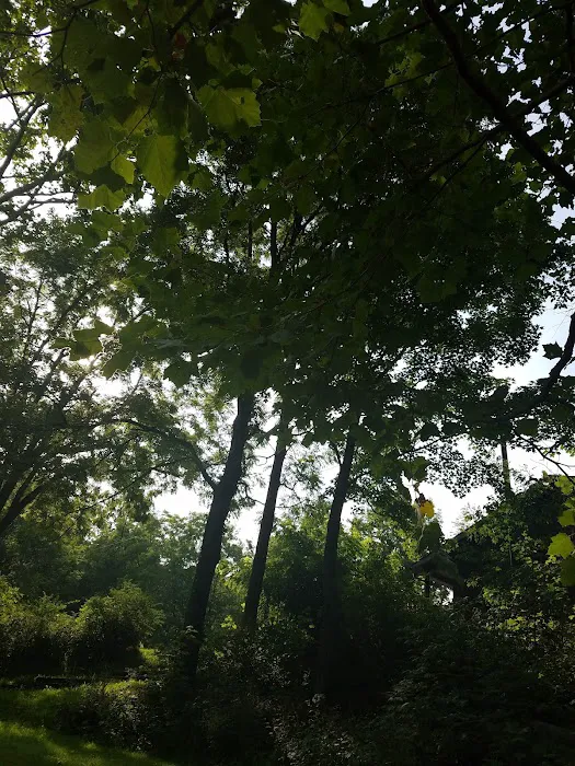 Folly's End Campground Picture 3