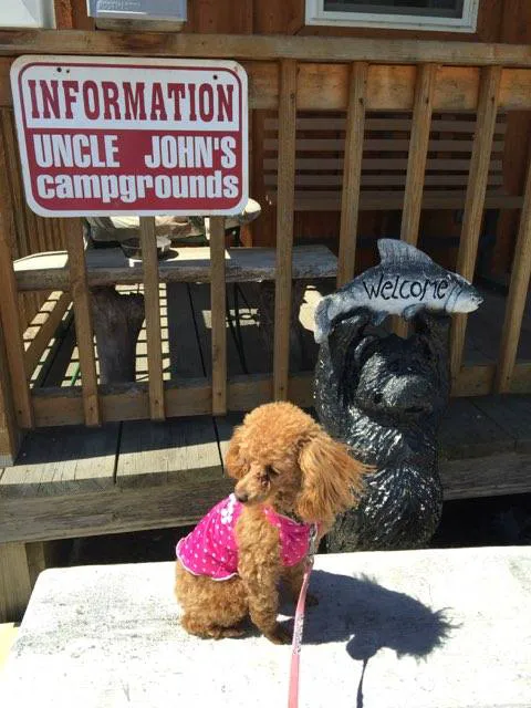 Uncle John's Elk Creek Campground Picture 5