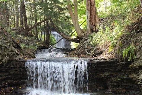 Uncle John's Elk Creek Campground Picture 4