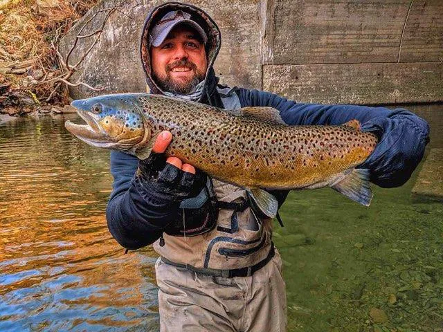 Uncle John's Elk Creek Campground Picture 2