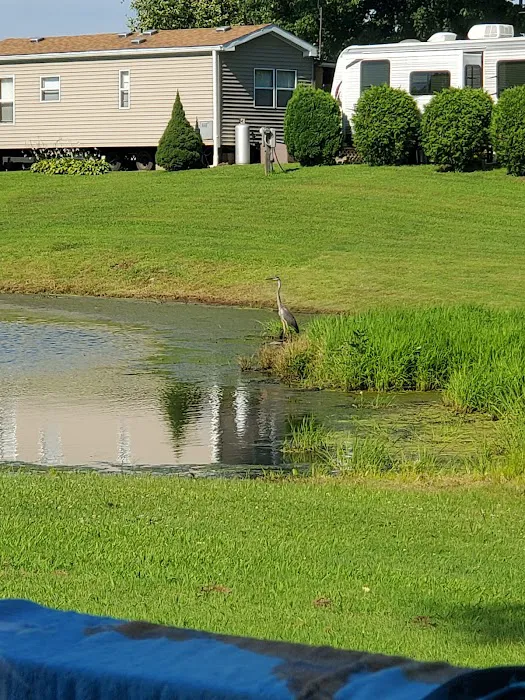 Pine Lane Campground Picture 10