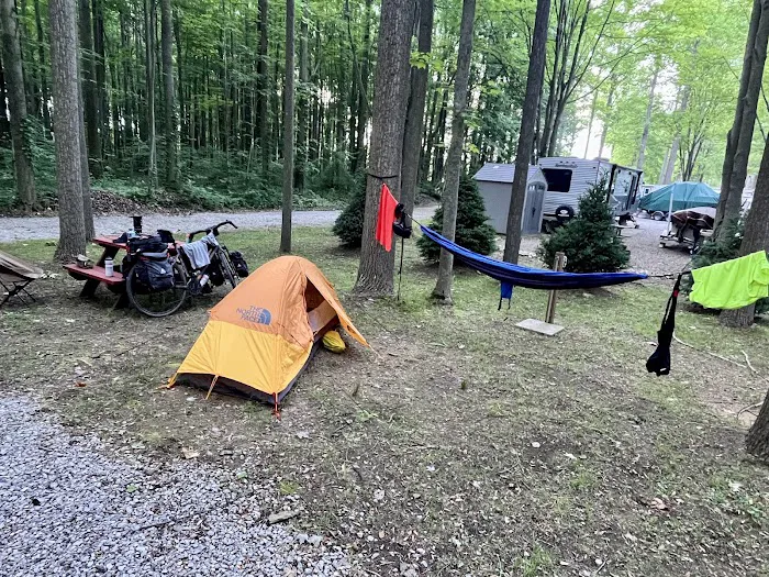 Pine Lane Campground Picture 9