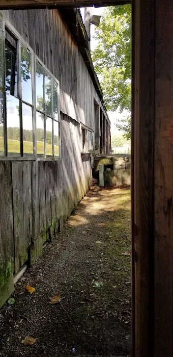 Jim-N-I Campground Music Park Picture 4