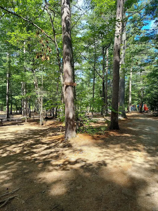 Papoose Pond Family Campground & Cabins Picture 7