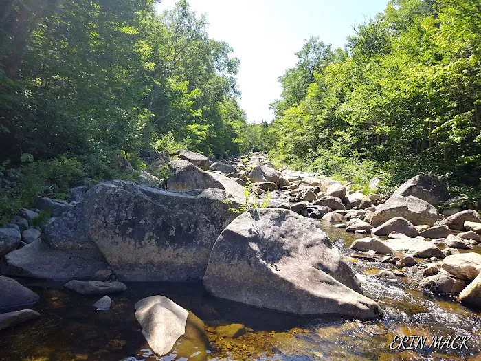 AT Campsite Picture 9