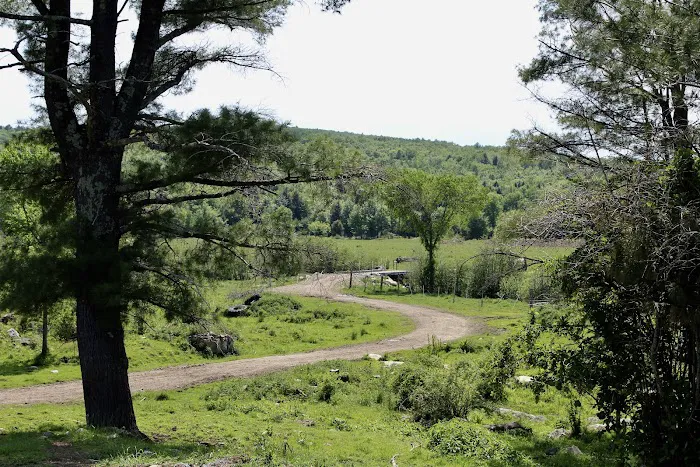 Tentrr Signature - Private Retreat on the River's Edge Picture 5