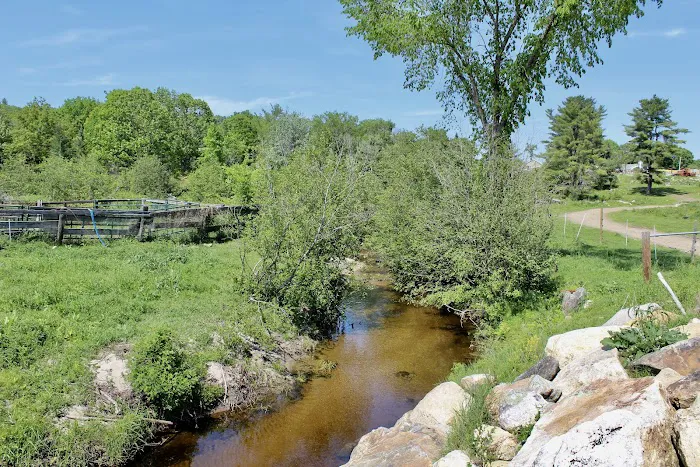 Tentrr Signature - Private Retreat on the River's Edge Picture 3