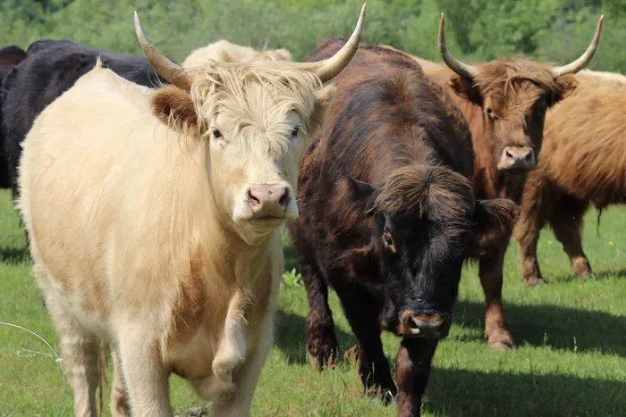 Tentrr Signature - Private Retreat on the River's Edge Picture 2