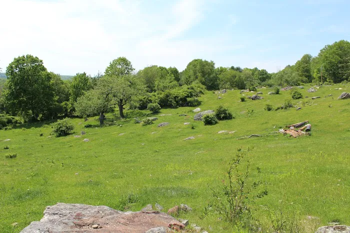 Tentrr Signature - Private Retreat on the River's Edge Picture 7