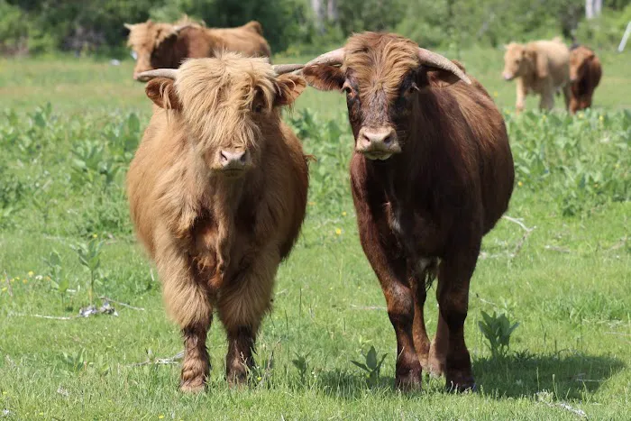 Tentrr Signature - Private Retreat on the River's Edge Picture 1