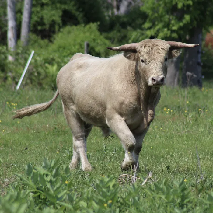 Tentrr Signature - Private Retreat on the River's Edge Picture 4