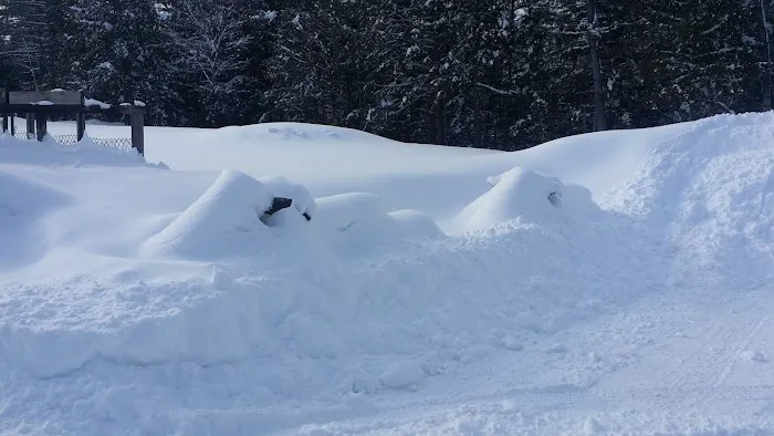 Bear Mountain Village Campground Picture 5