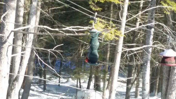 Bear Mountain Village Campground Picture 1