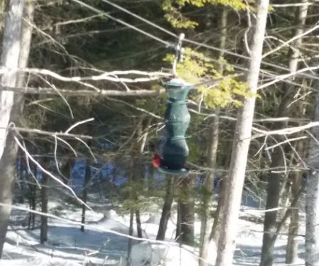 Bear Mountain Village Campground