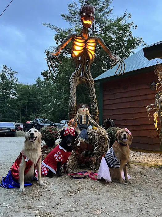 Vacationland Campground Picture 4