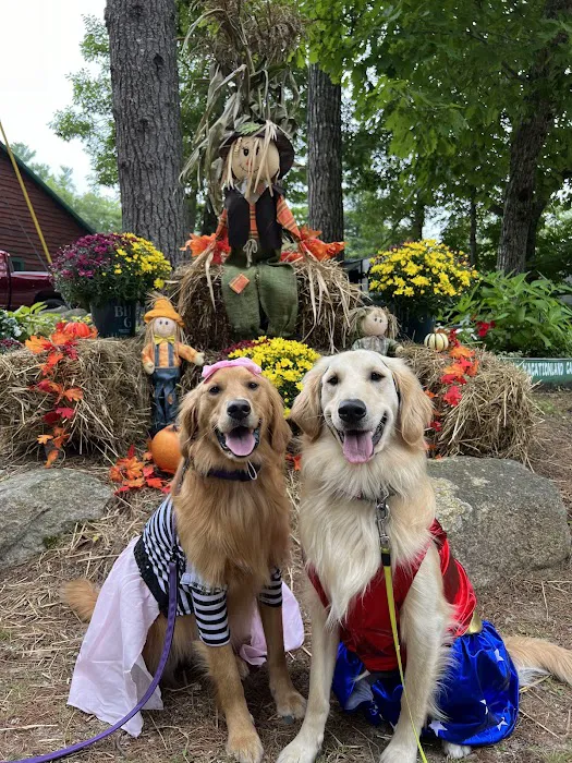 Vacationland Campground Picture 5