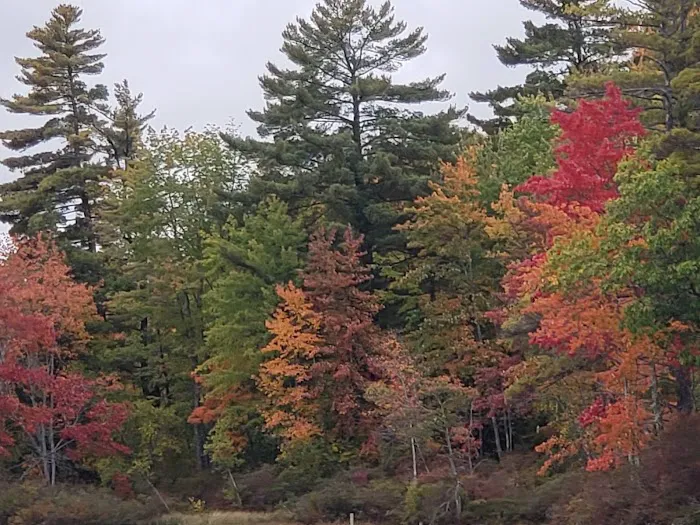 Colonial Mast Campground Picture 10