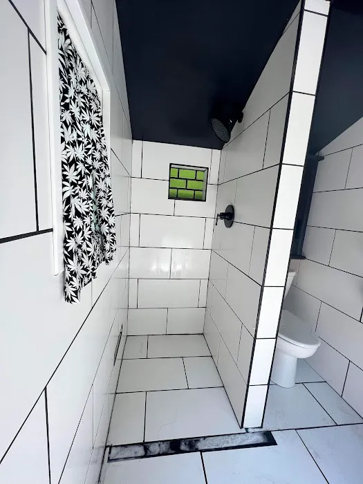 Camp laughing grass Picture 8