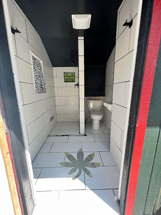 Camp laughing grass Picture 10