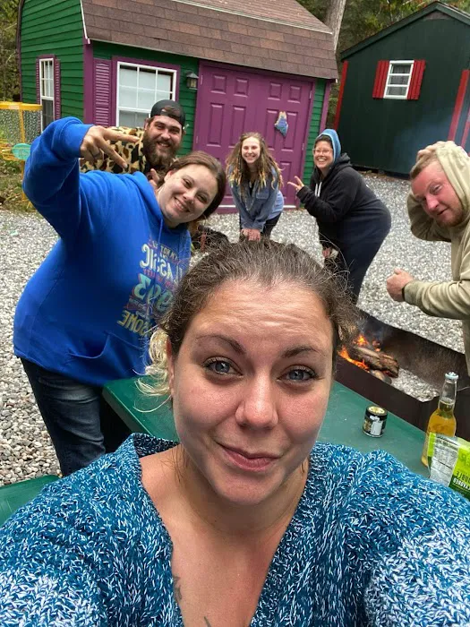 Camp laughing grass Picture 6