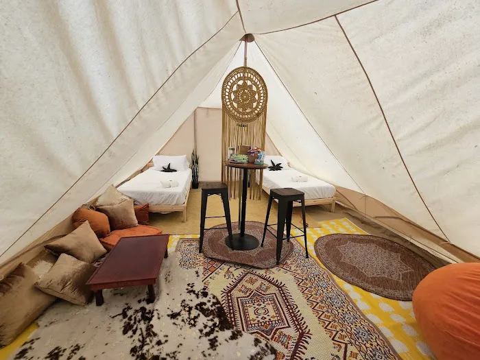 Camp laughing grass Picture 2