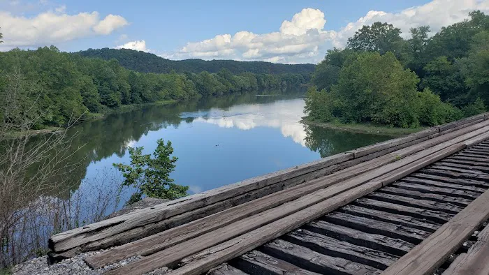 Potomac Forks Campsite Picture 4