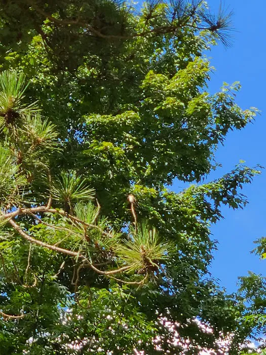 RV Village Camping Resort Picture 3