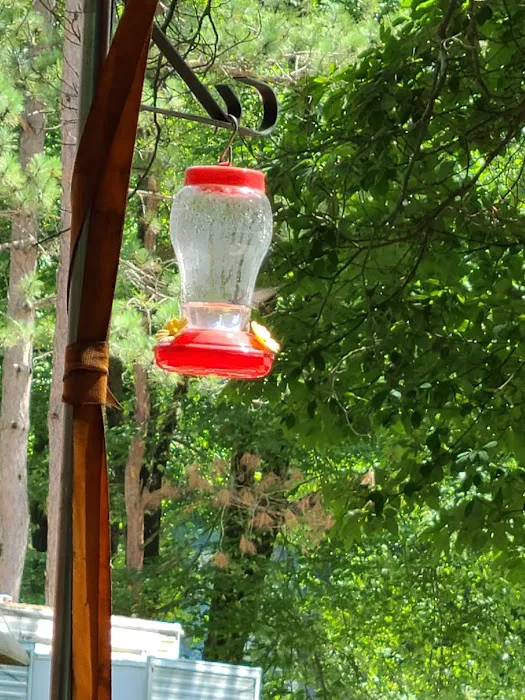 RV Village Camping Resort Picture 2