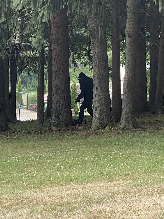 Rocky Springs Camp Ground Picture 6