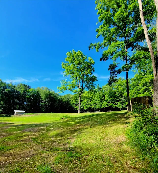 Grateful Glamp Picture 1