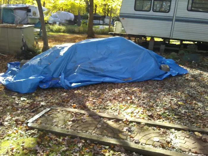 Camp Wilhelm Campground Picture 8