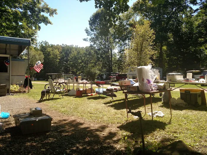 Camp Wilhelm Campground Picture 5