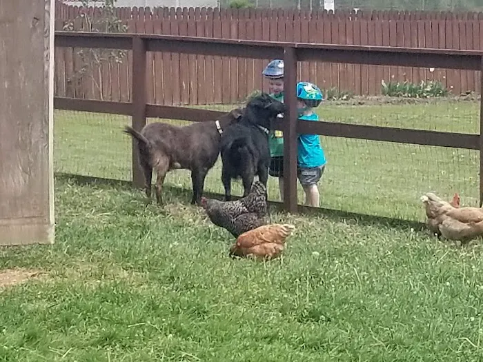 Goddard Park VacationLand Campground Picture 8