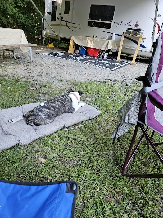 Cozy Oaks RV Resort Picture 7