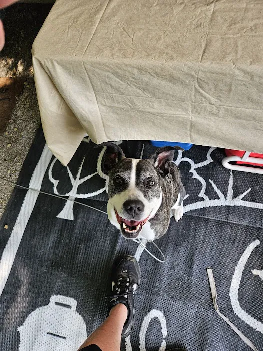 Cozy Oaks RV Resort Picture 5