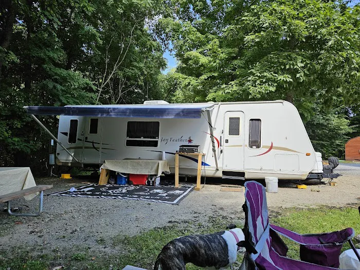 Cozy Oaks RV Resort Picture 9