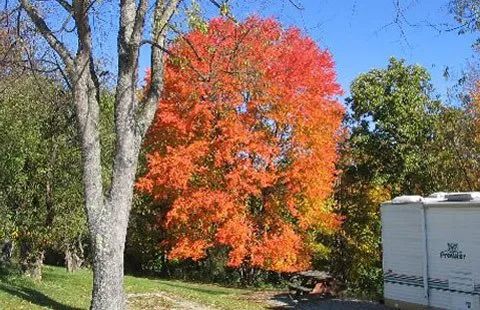 Washington / Pittsburgh SW KOA Journey Picture 6