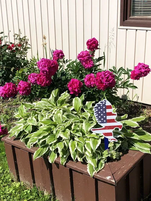 Washington / Pittsburgh SW KOA Journey Picture 1